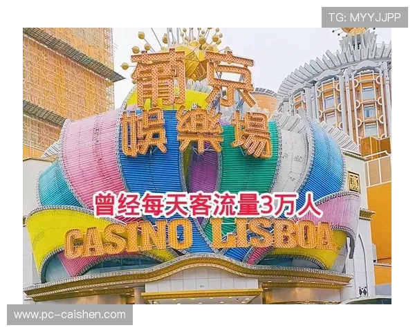 赌王娱乐场：打造至尊娱乐体验的豪华赌场新标杆