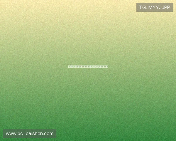 世界杯期间皇冠电插锁的技术优势及其对比赛安全的重要作用 世界杯期间皇冠电插锁的技术优势及其对比赛安全的重要作用